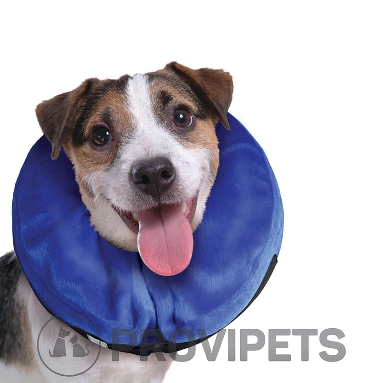 Kong Collar De Recuperacion Inflable Cloud Medium 4