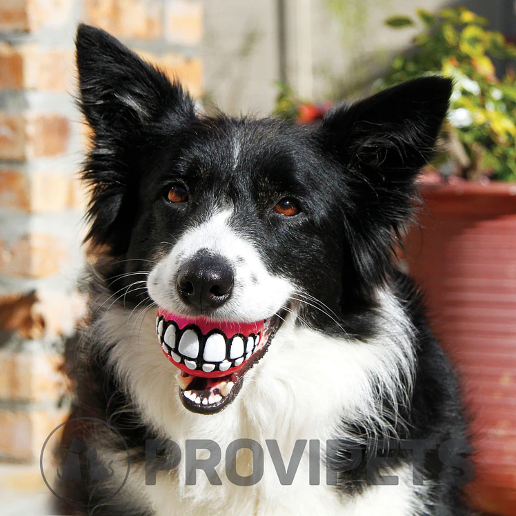 Kong Perro Pelota Grinz By Rogz Large 3