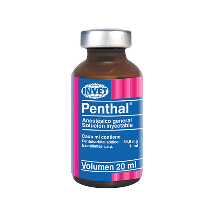 Penthal x20Ml