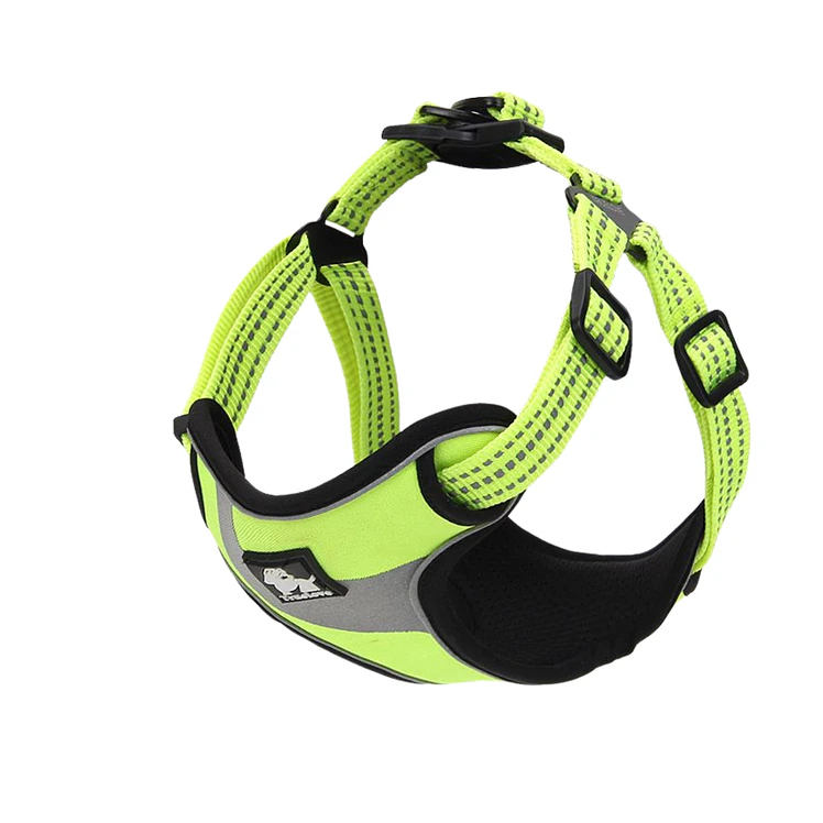 Arnes Truelove Perros Acolchado Reflectivo Amari S 1