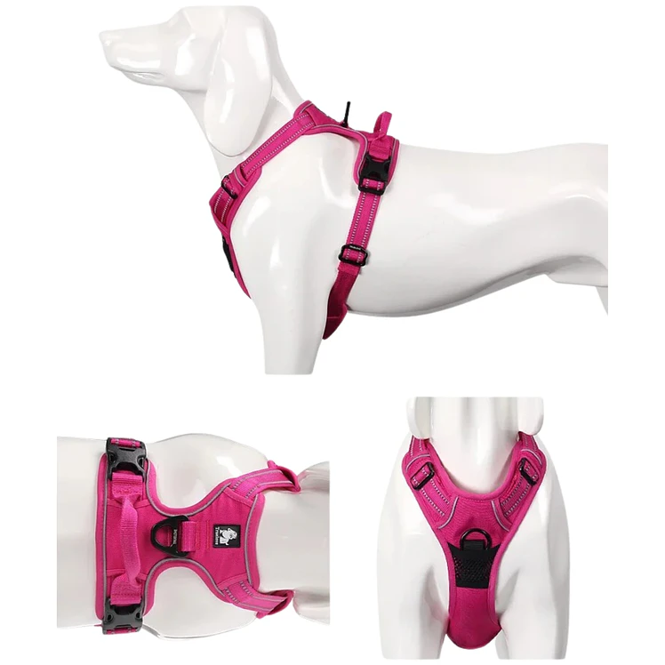 Arnés Truelove Perros Ajustable Reflectivo Fucsi M 4