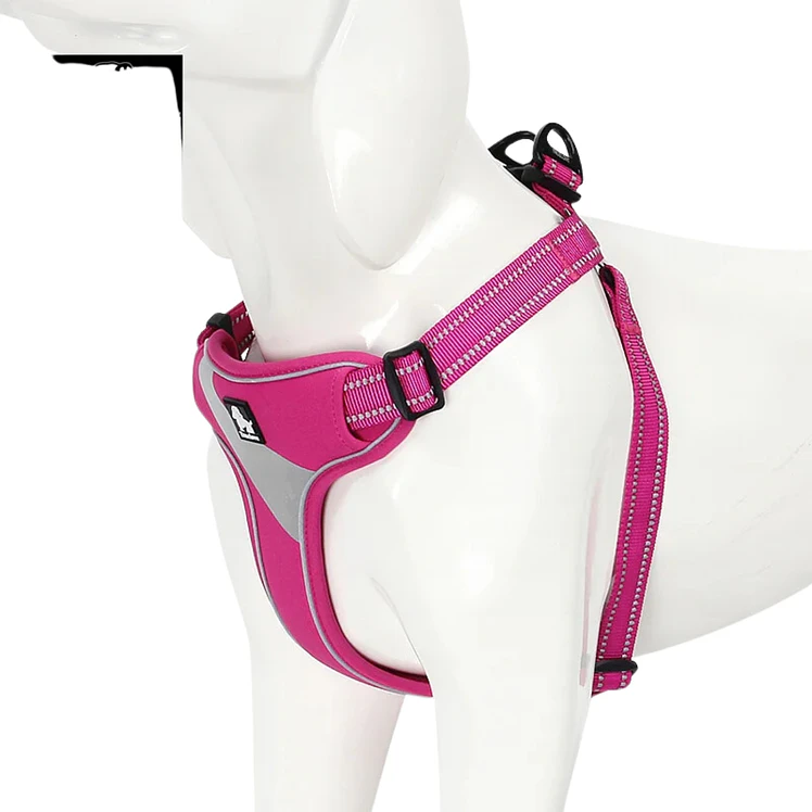 Arnes Truelove Perros Acolchado Reflectivo Fucsia L 3