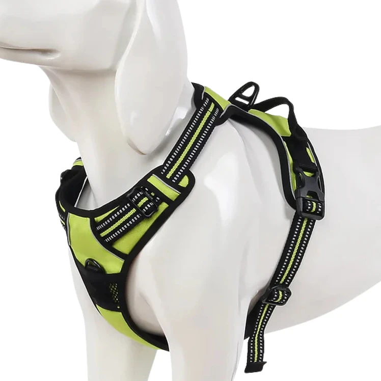 Arnés Truelove Perros Ajustable Reflectivo Neon XL 2
