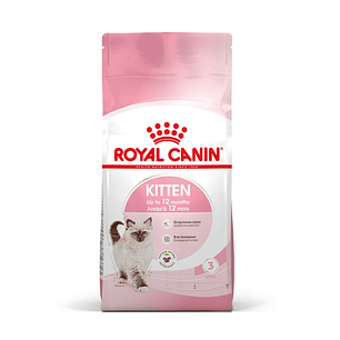 Royal Canin Gato Kitten 10kg