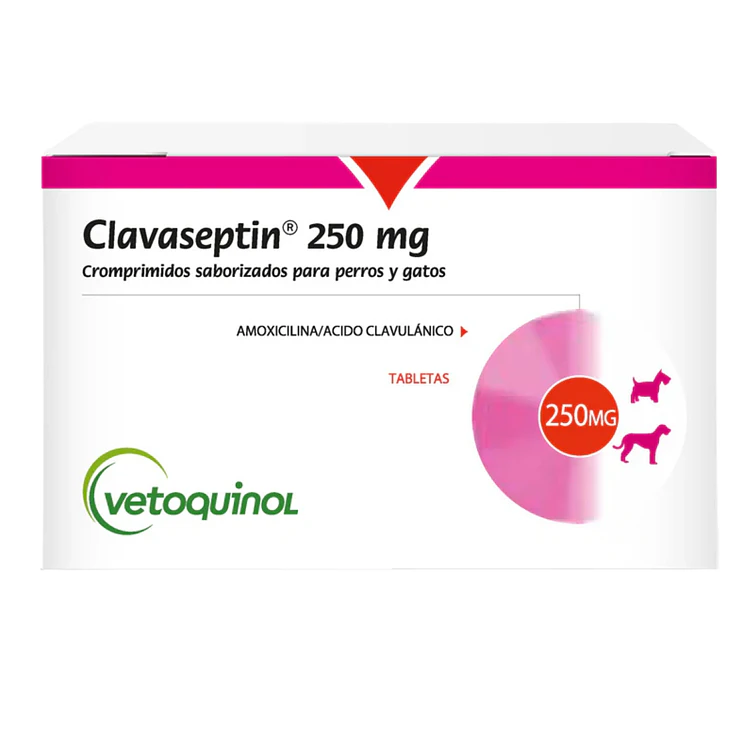 Clavaseptin 250Mgs Blister x 10 Tab Invet