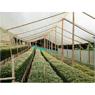 Plástico para invernadero Agroplasn 8m ancho 50m largo