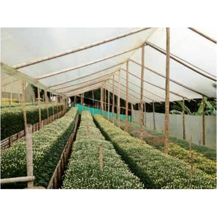 Plástico para invernadero Agroplasn 8m ancho 50m largo