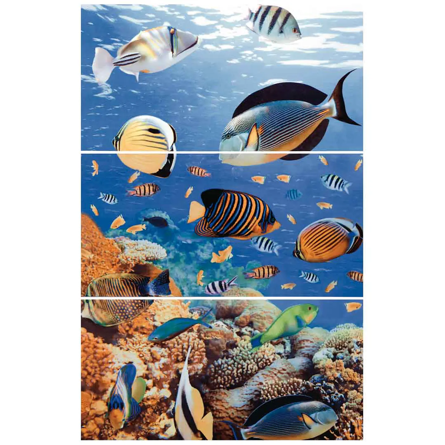 Base Deco Mural Aguama Multicolor 30 x
