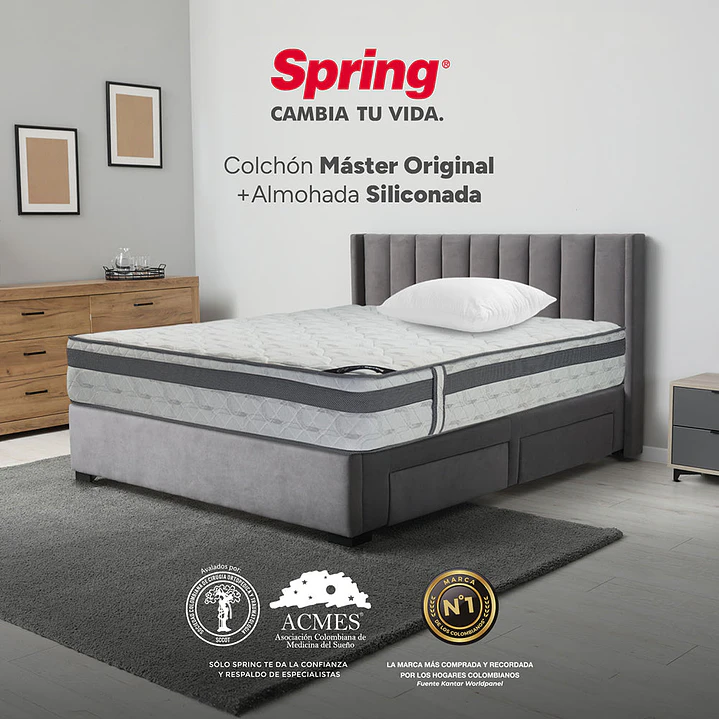 Colchon Master de 160 x 190 29 Cm + Almohada