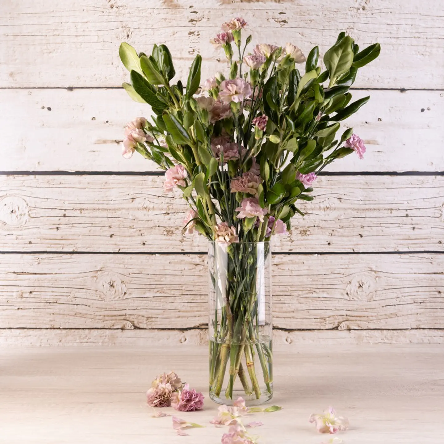 Florero Cilíndrico 37.5 Onzas Caja x 12 Und