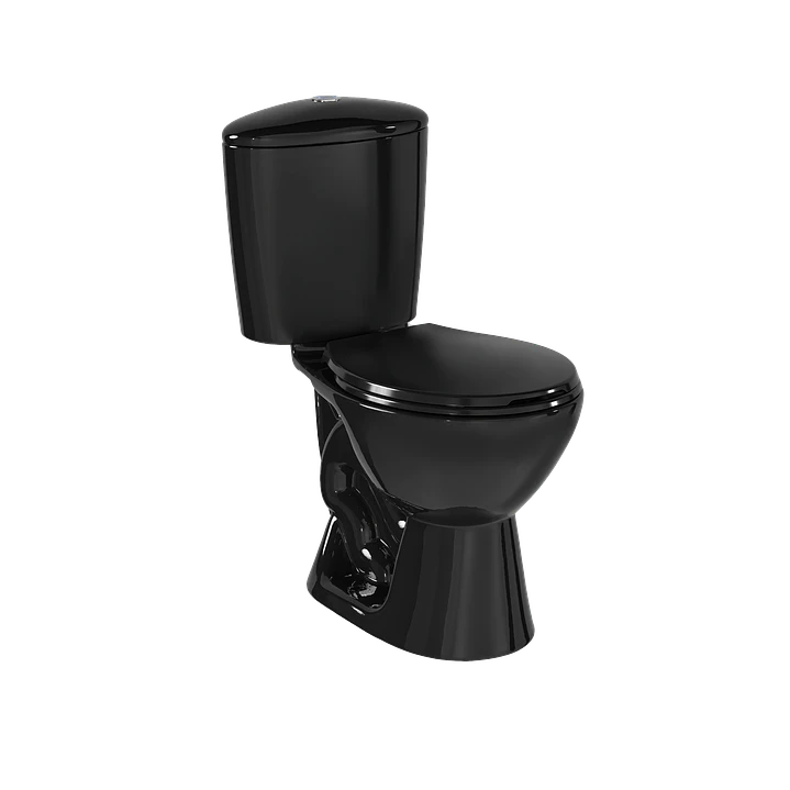 Sanitario Manantial Negro