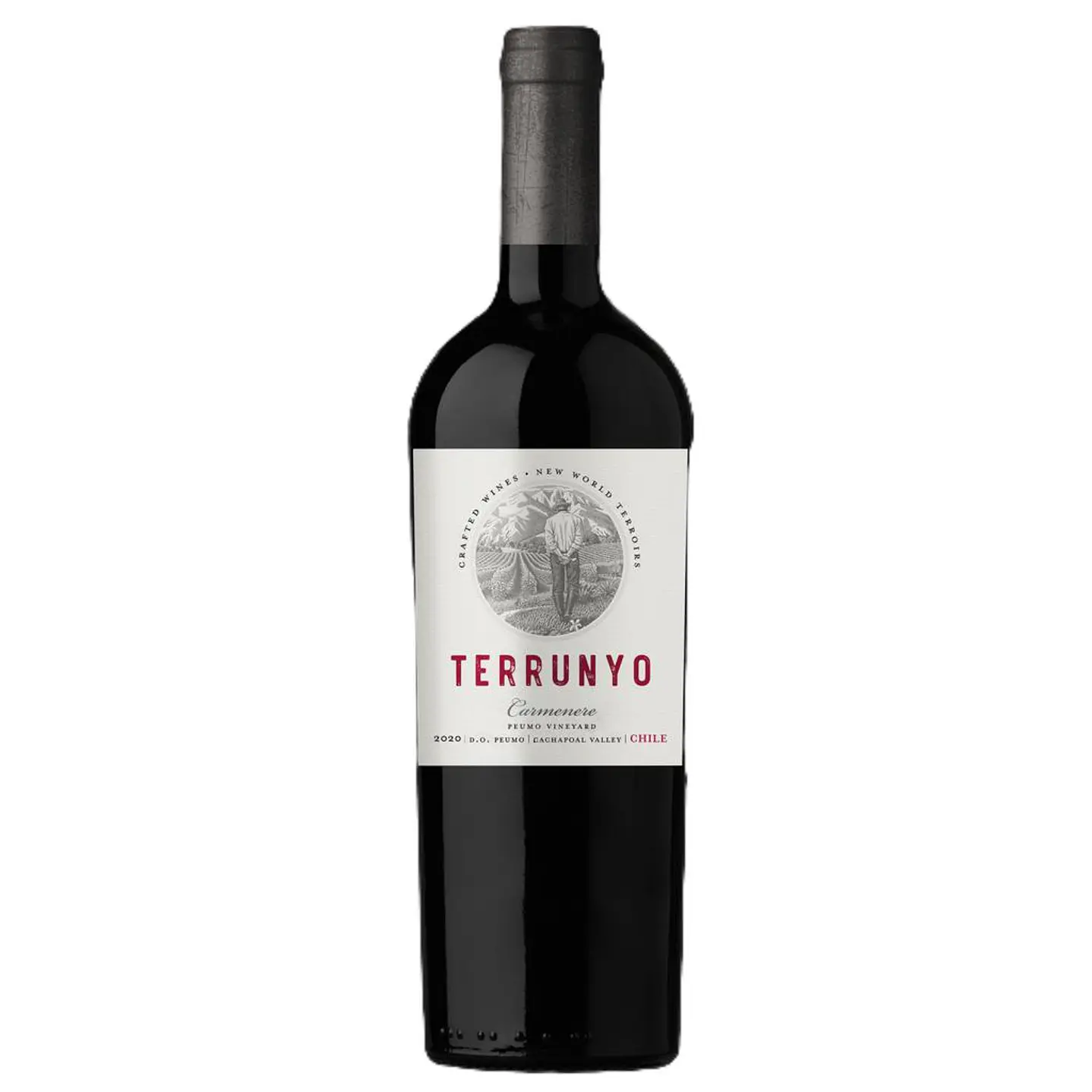 Terrunyo Carmenere Vino Tinto 750 mL
