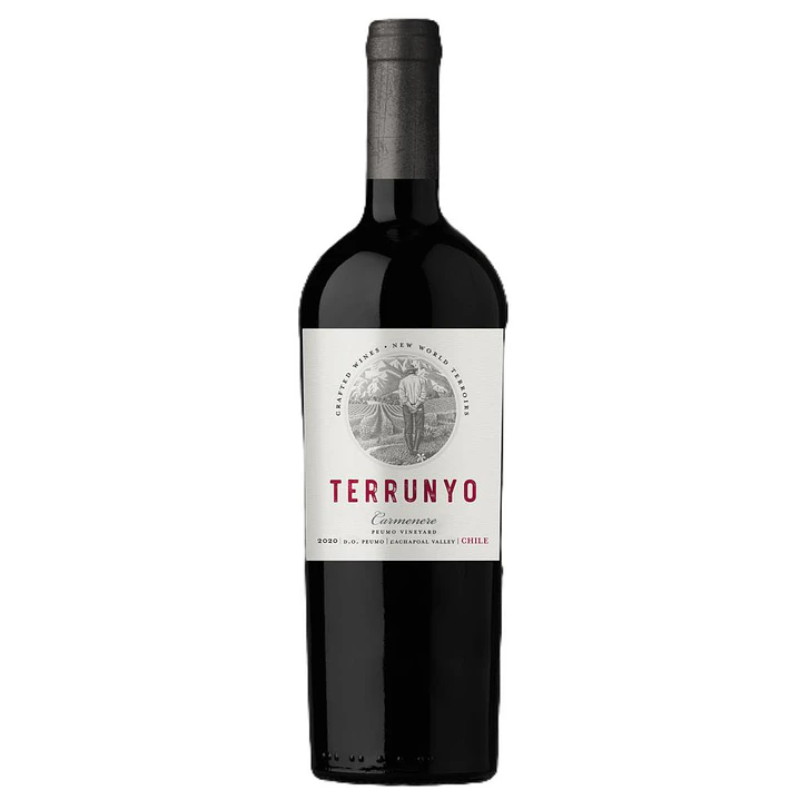 Terrunyo Carmenere Vino Tinto 750 mL