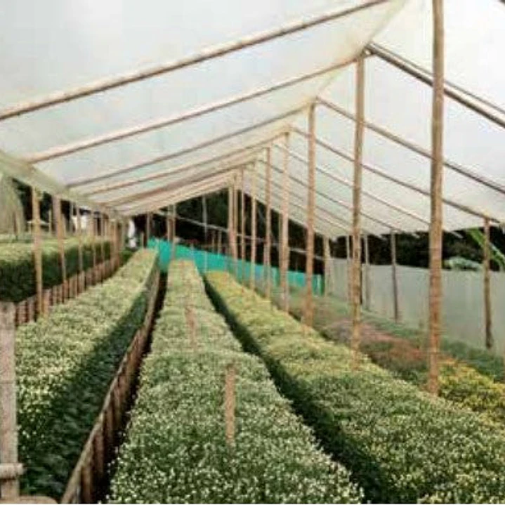 Plástico para invernadero Agroplasn 4m ancho 100m largo