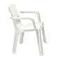 Silla Eterna Con Brazos Rimax - Miniatura 2