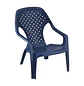 Silla Playera Rimax - Miniatura 1