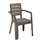 Silla Barú con Brazos Rimax - Miniatura 1