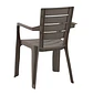 Silla Barú con Brazos Rimax - Miniatura 2