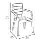 Silla Barú con Brazos Rimax - Miniatura 3