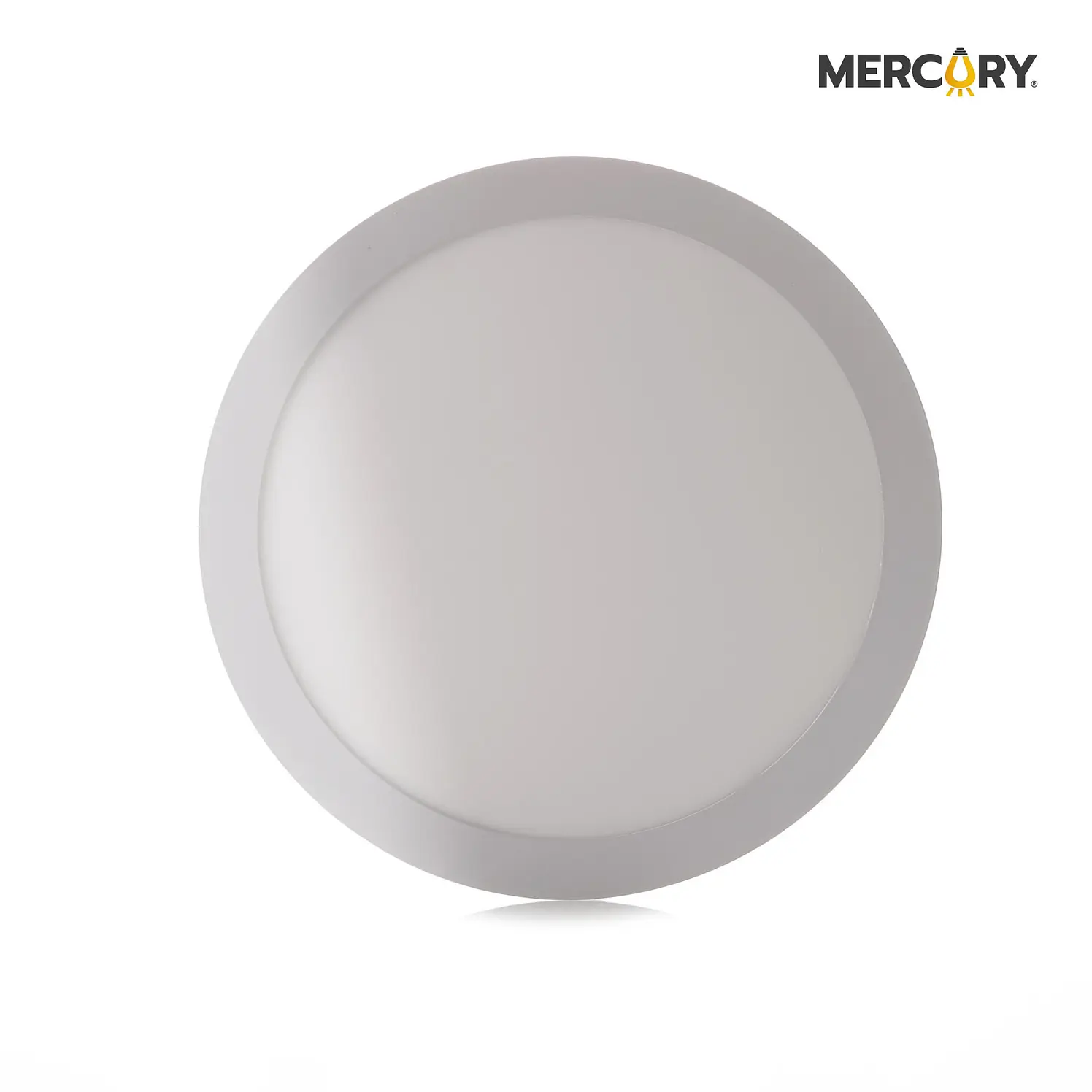 Panel led 24 W 10 pulg blanco redondo incrustar ipl07 1
