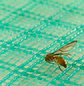 Malla antinsecto Excala versátil 2x2mmx1 m 30 m uv2 - Miniatura 1