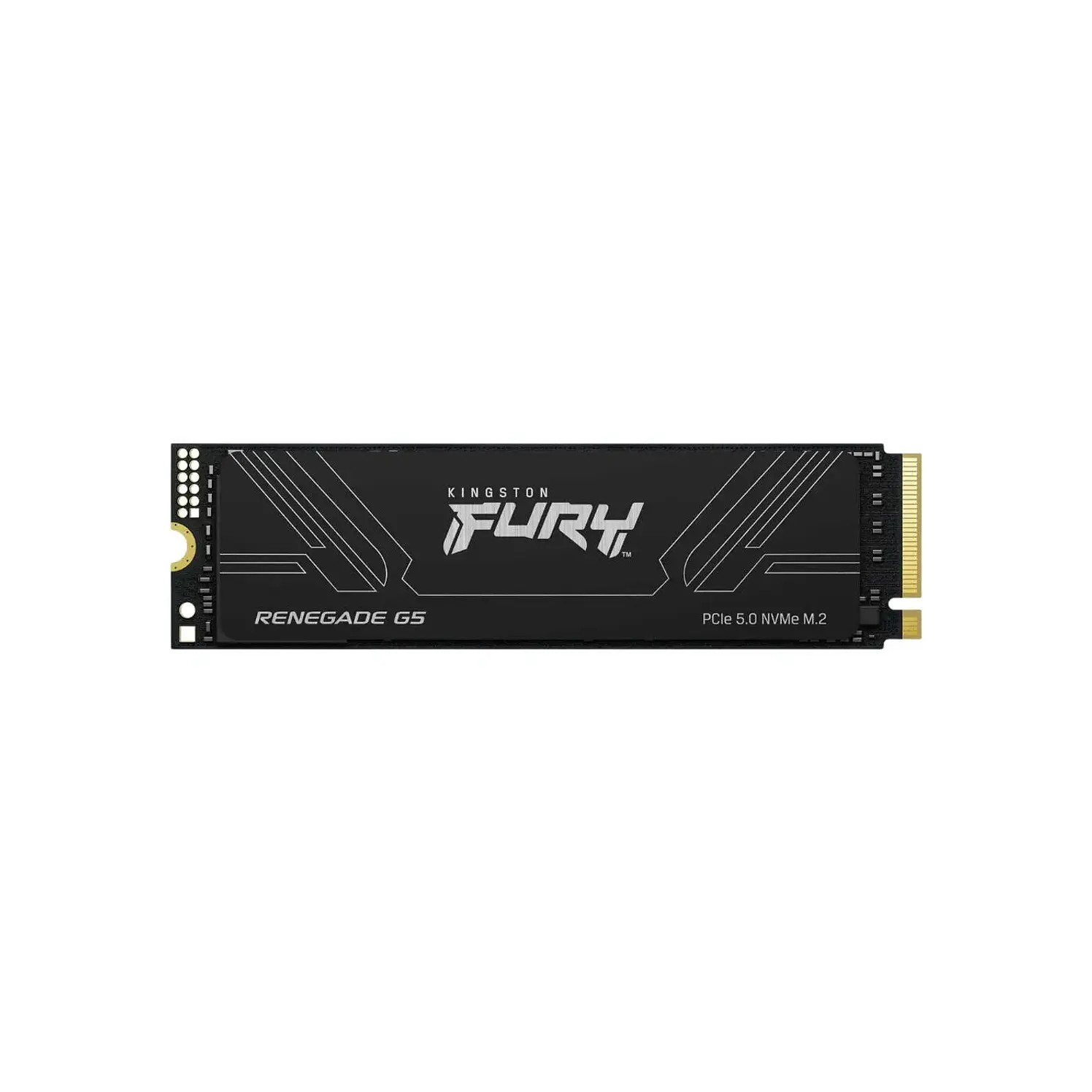 Estado Solido Interno Kingston Fury Renegade G5 5.0 M.2 1 TB
