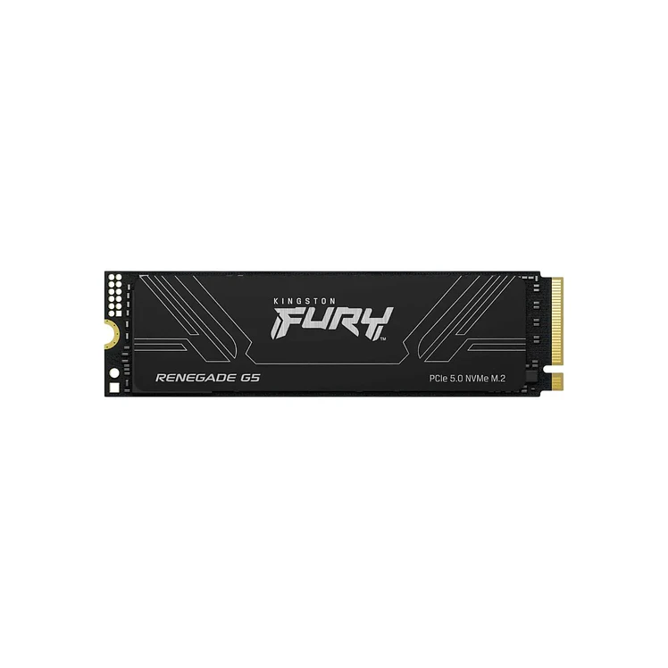 Estado Solido Interno Kingston Fury Renegade G5 5.0 M.2 1 TB