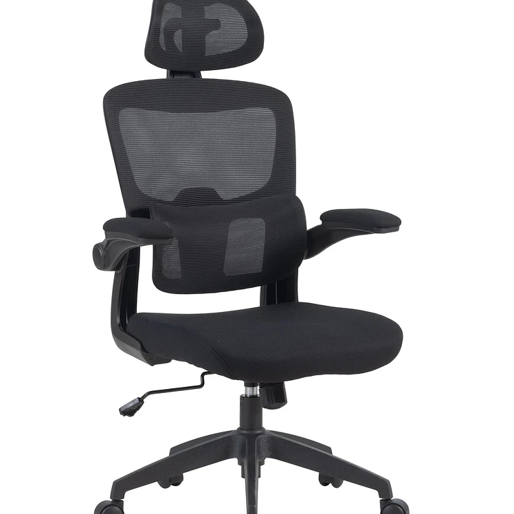 Silla Oficina Tukasa Ejecutiva Negra Soporte Lumbar