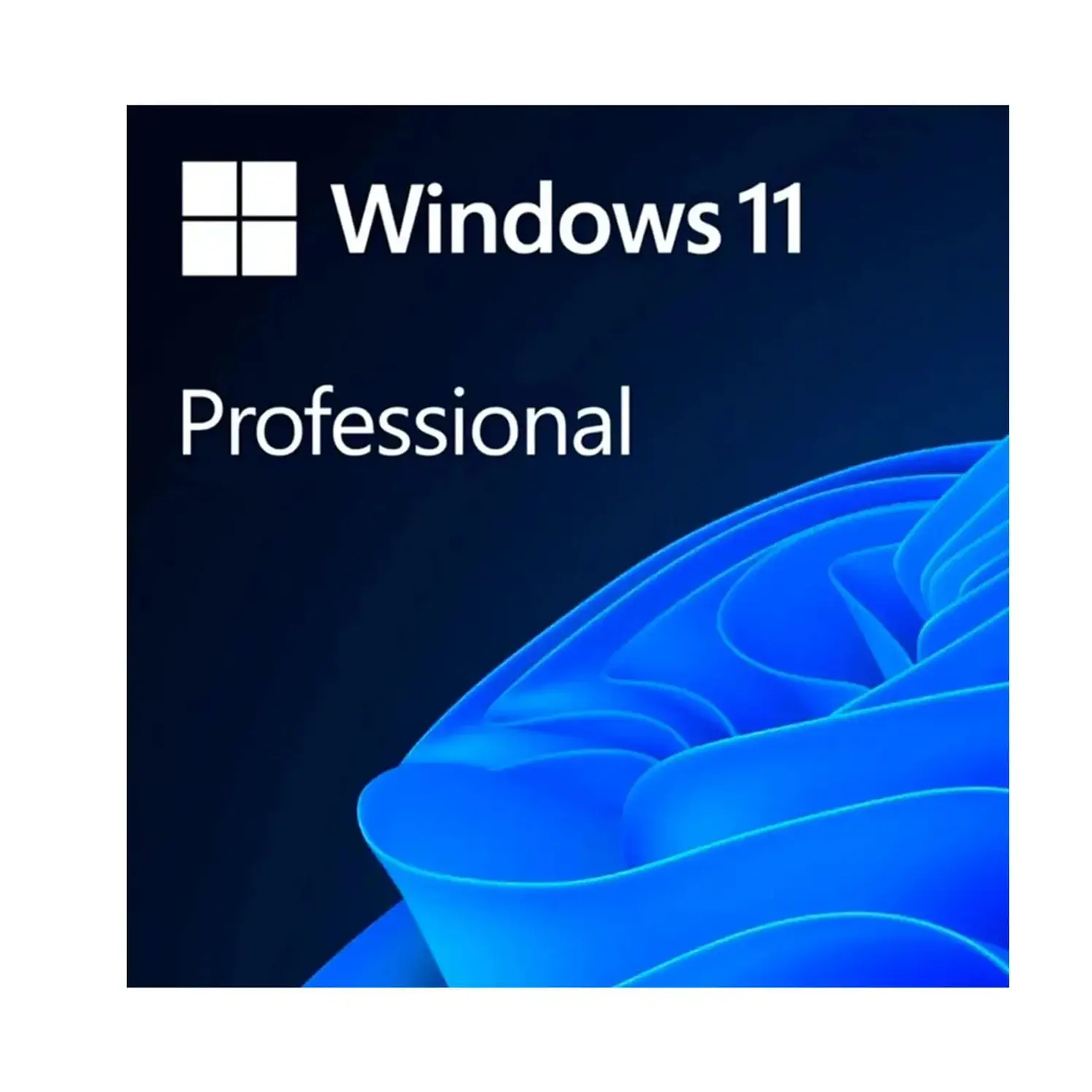 Pin Microsoft Windows Pro Fpp 11