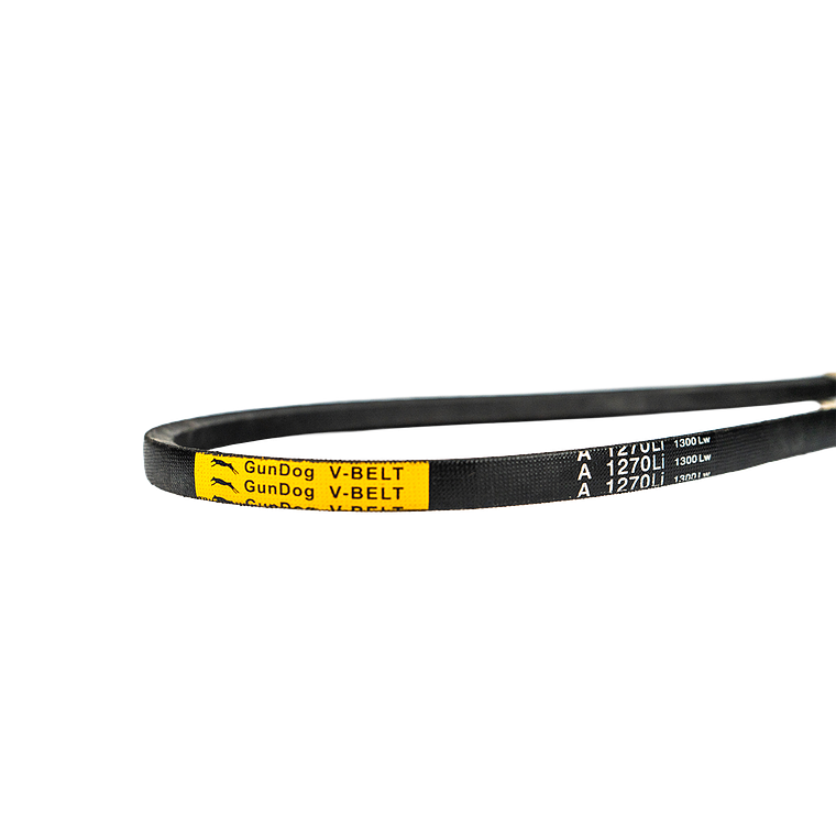 CORREA DE TRANSMISIÓN COMPRESOR 3HP 200/300 PVL 1