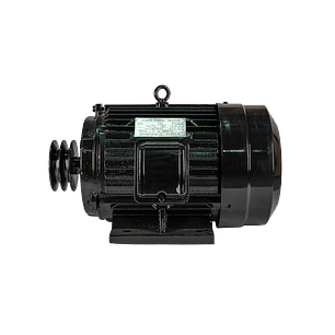 MOTOR 7,5 HP 380V / 50HZ 2800 RPM – PVL COMPRESOR