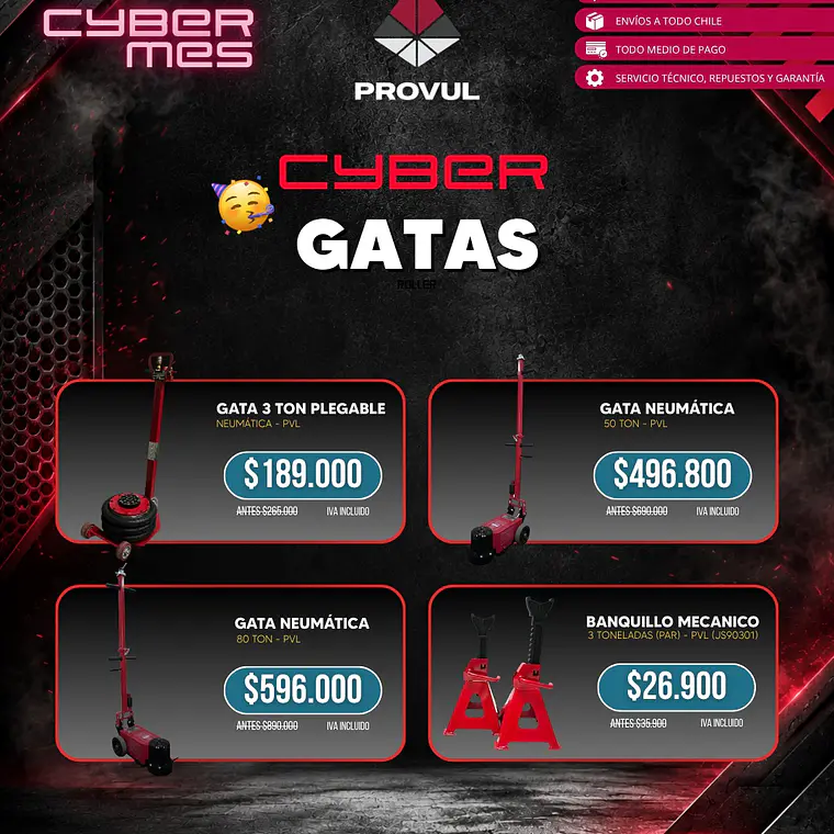 PROMO JUNIO GATAS 1