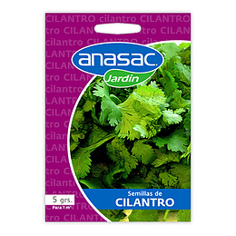 Semillas de Cilantro