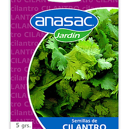 Semillas de Cilantro