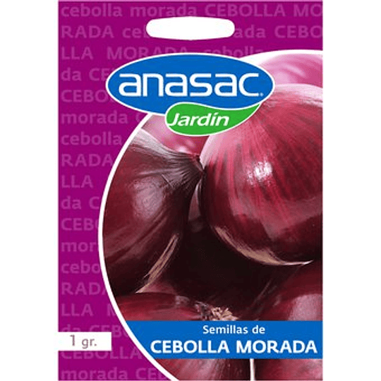 Semillas de Cebolla morada