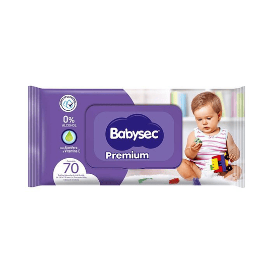 Toallitas húmedas Babysec 70 unidades