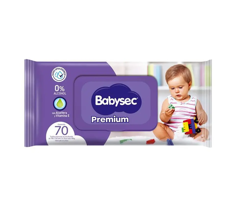 Toallitas húmedas Babysec 70 unidades 1