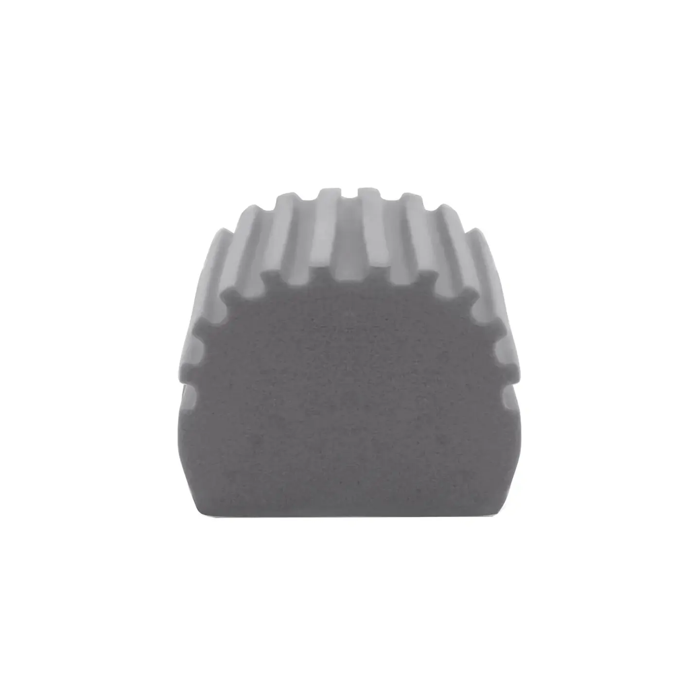 Esponja limpia polvo Damp Duster 4