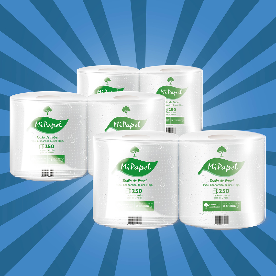 PACK Toalla de papel económico 250 m hoja simple (2 rollos) {3 packs] 1