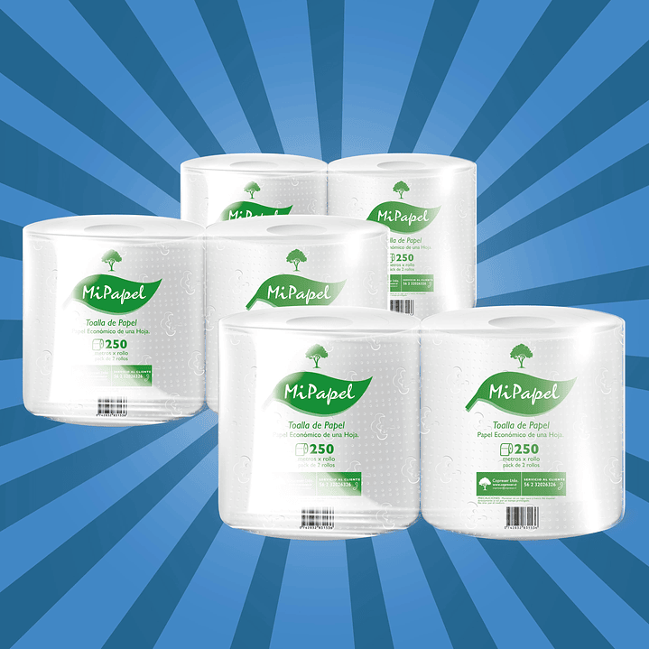 PACK Toalla de papel económico 250 m hoja simple (2 rollos) {3 packs] 1