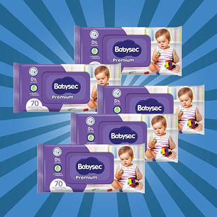 PACK Toallitas húmedas Babysec 70 unidades [5 unidades]
