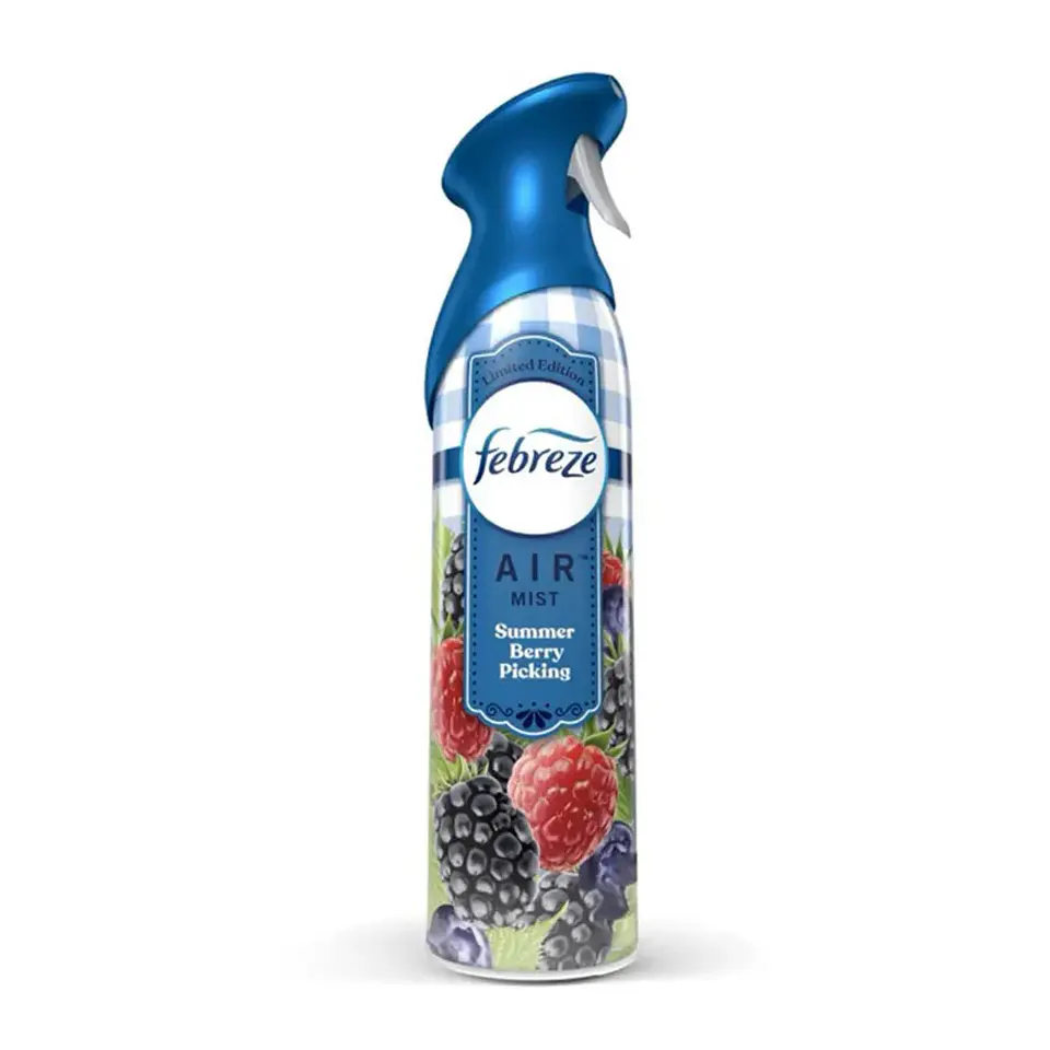Desodorante ambiental Berries 250g 1