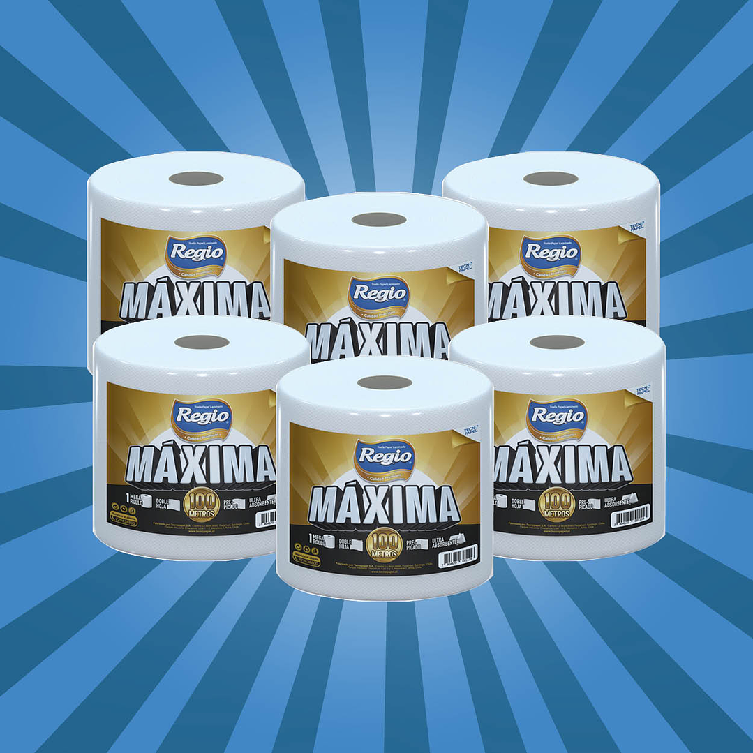 PACK Toalla de papel Máxima 100 m doble hoja [6 unidades] 1