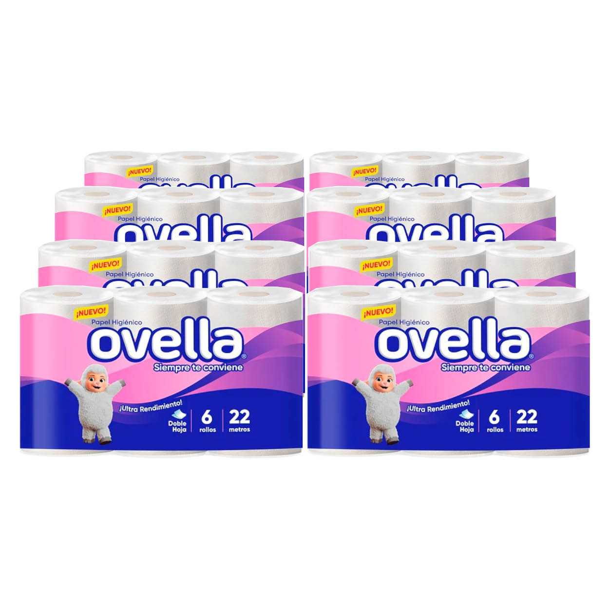 Bolsón papel higiénico 22 m doble hoja (48 rollos)