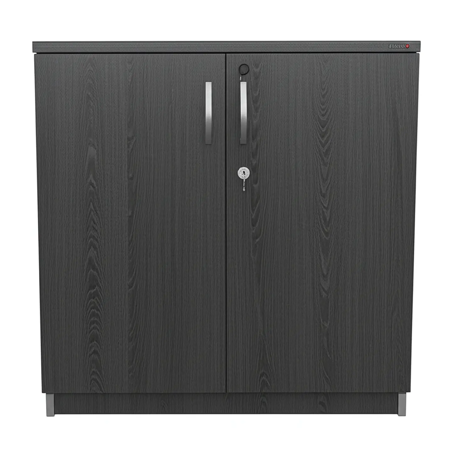 Gabinete Horizontal Dos Puerta 3