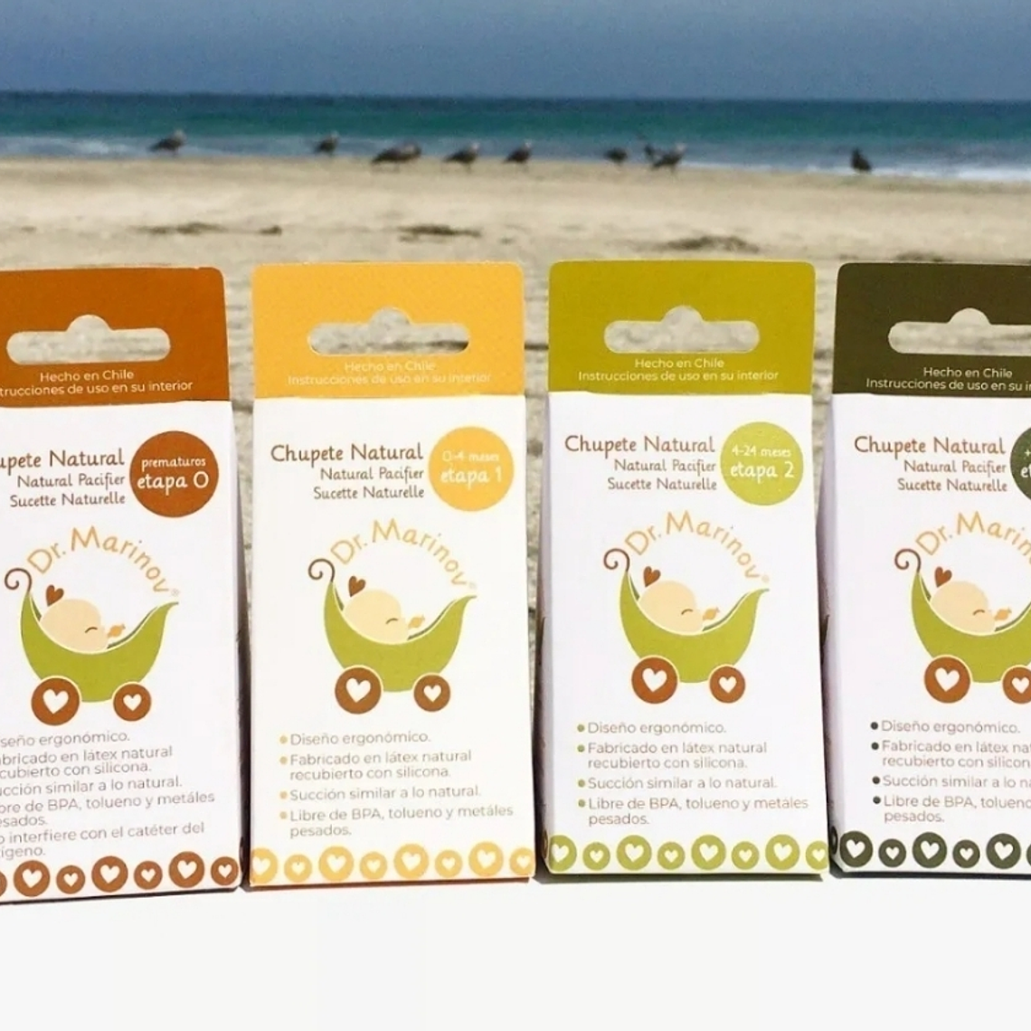 Chupete Dr. Marinov Etapa 3 +24 Meses 5