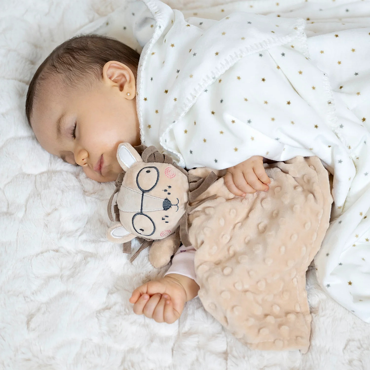 Frazada Ultra Suavecita Doble Capa Bambino 4