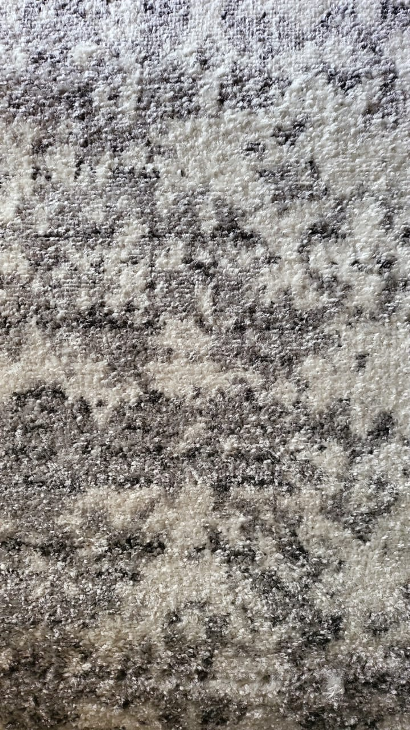 Alfombra Smoky 245x153 2