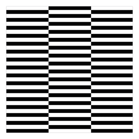 Alfombra Vinílica / Lineas B&W