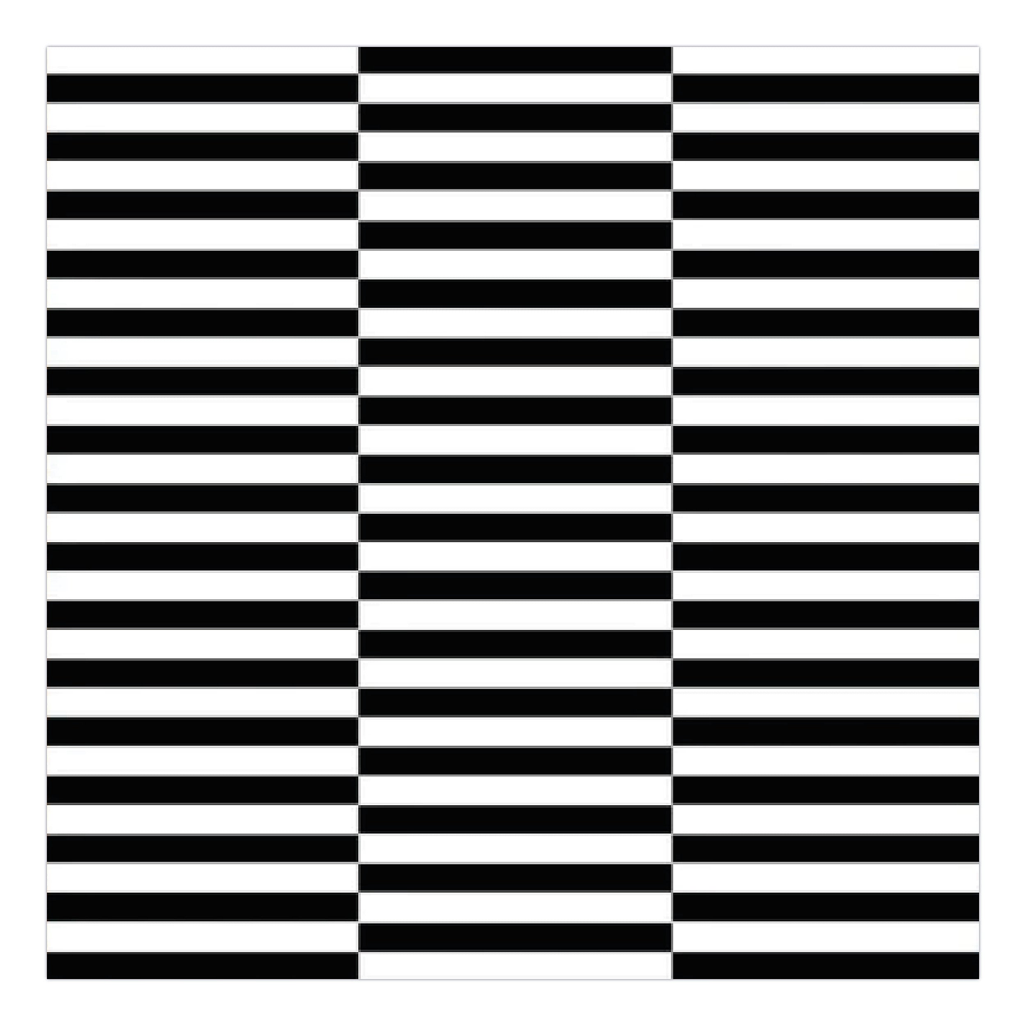 Alfombra Vinílica / Lineas B&W 2